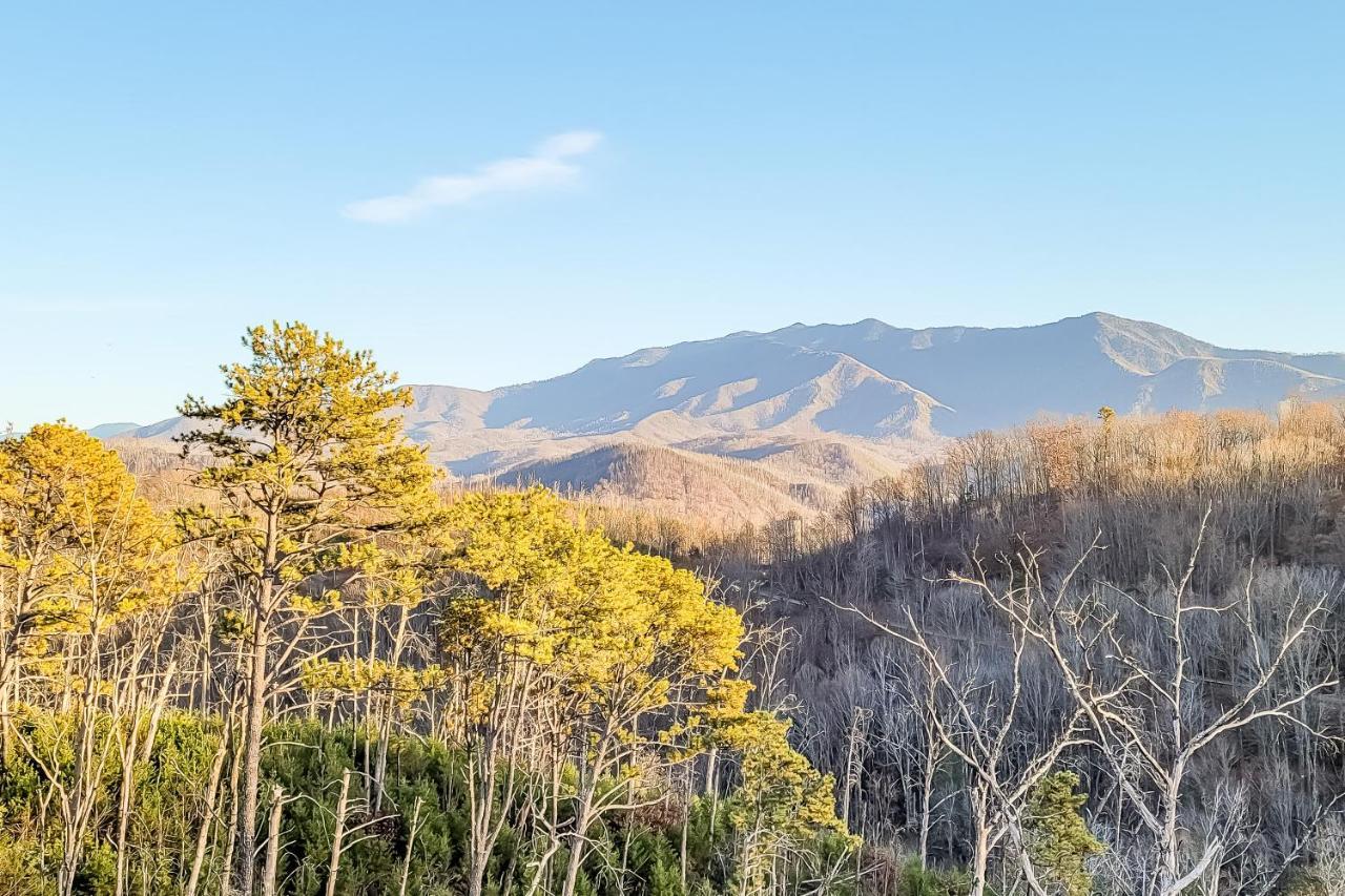 3 Lazy Bears Chalet Gatlinburg Luaran gambar